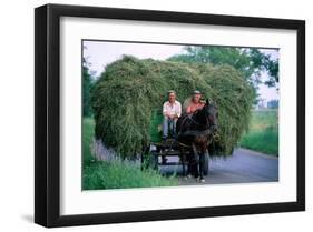 Hay transport, Great Hungarian Plain, Hungary-null-Framed Art Print