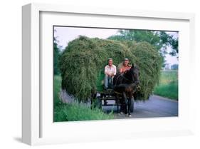 Hay transport, Great Hungarian Plain, Hungary-null-Framed Art Print