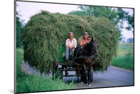 Hay transport, Great Hungarian Plain, Hungary-null-Mounted Art Print