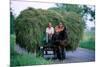 Hay transport, Great Hungarian Plain, Hungary-null-Mounted Art Print