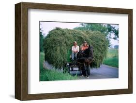 Hay transport, Great Hungarian Plain, Hungary-null-Framed Art Print