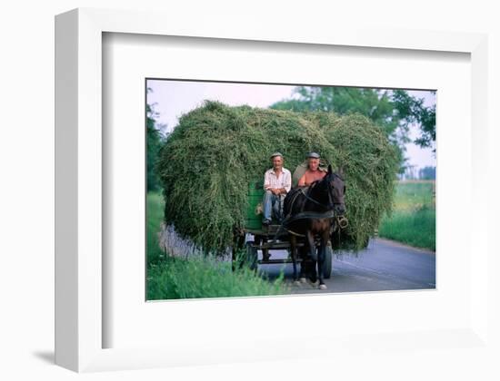 Hay transport, Great Hungarian Plain, Hungary-null-Framed Art Print