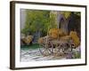 Hay Wagon with Ancient Tools, Caravanserai, Turkey-Joe Restuccia III-Framed Photographic Print