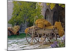 Hay Wagon with Ancient Tools, Caravanserai, Turkey-Joe Restuccia III-Mounted Photographic Print