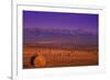 Hay-null-Framed Photographic Print