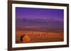 Hay-null-Framed Photographic Print