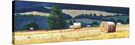 Haybales on Hillside-Helen White-Stretched Canvas