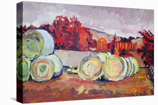 Haybales, Scotland, 1996 (Oil on Board)-Robert Hobhouse-Stretched Canvas