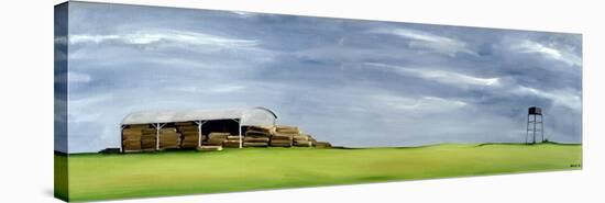 Haybarn Dreaming-Ana Bianchi-Stretched Canvas