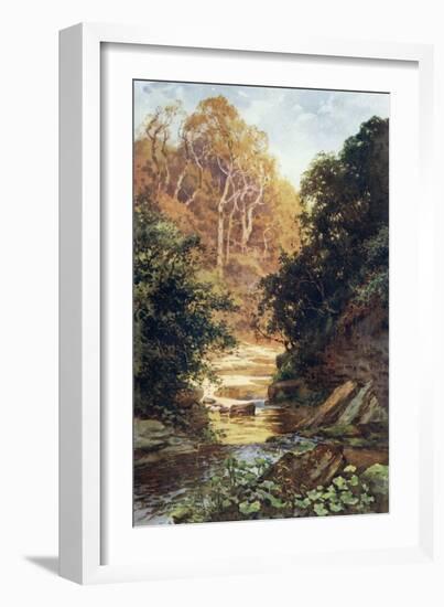 Hayburn Wyke-Ernest W Haslehust-Framed Art Print