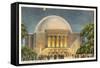 Hayden Planetarium, New York City-null-Framed Stretched Canvas