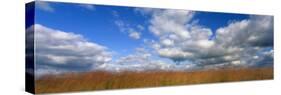 Hayden Prairie, Iowa, USA-null-Stretched Canvas