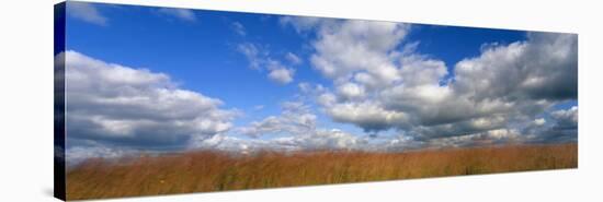 Hayden Prairie, Iowa, USA-null-Stretched Canvas