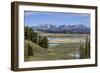 Hayden Valley (YNP)-Galloimages Online-Framed Premium Photographic Print