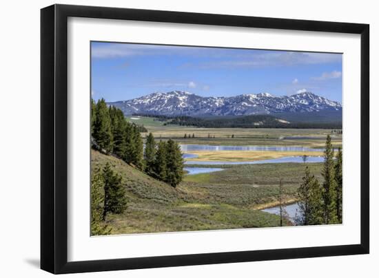 Hayden Valley (YNP)-Galloimages Online-Framed Premium Photographic Print