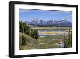 Hayden Valley (YNP)-Galloimages Online-Framed Premium Photographic Print
