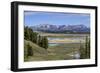Hayden Valley (YNP)-Galloimages Online-Framed Premium Photographic Print