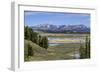 Hayden Valley (YNP)-Galloimages Online-Framed Premium Photographic Print