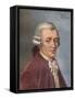 Haydn-Rudolf Klingsbogl-Framed Stretched Canvas