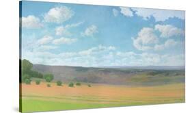 Hayfield I-Elissa Gore-Stretched Canvas