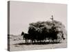 Haying in the Valley of the Jordan, Utah-null-Stretched Canvas