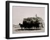 Haying in the Valley of the Jordan, Utah-null-Framed Photo