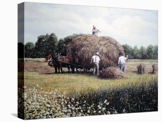 Haying time 1-Kevin Dodds-Stretched Canvas