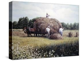 Haying time 1-Kevin Dodds-Stretched Canvas