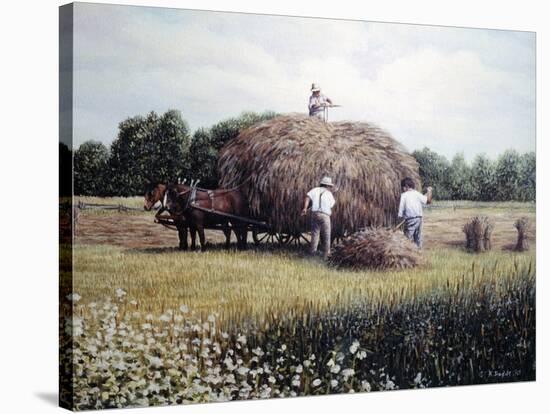 Haying time 1-Kevin Dodds-Stretched Canvas