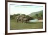 Haying Time, Cheshire County, New Hampshire-null-Framed Art Print