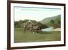 Haying Time, Cheshire County, New Hampshire-null-Framed Premium Giclee Print