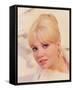 Hayley Mills-null-Framed Stretched Canvas