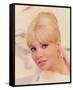 Hayley Mills-null-Framed Stretched Canvas