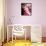 Hayley Mills-null-Framed Stretched Canvas displayed on a wall