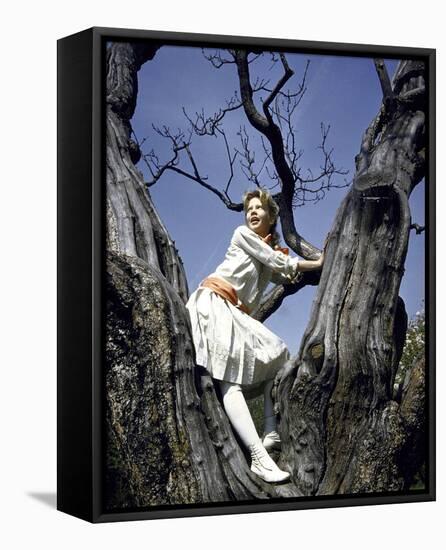 Hayley Mills-null-Framed Stretched Canvas