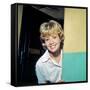 Hayley Mills-null-Framed Stretched Canvas