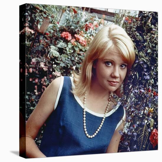 Hayley Mills-null-Stretched Canvas