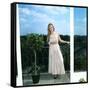 Hayley Mills-null-Framed Stretched Canvas