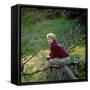 Hayley Mills-null-Framed Stretched Canvas