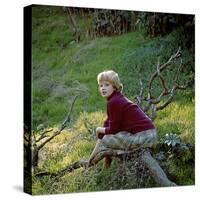 Hayley Mills-null-Stretched Canvas