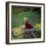 Hayley Mills-null-Framed Photo