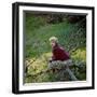 Hayley Mills-null-Framed Photo