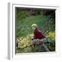 Hayley Mills-null-Framed Photo