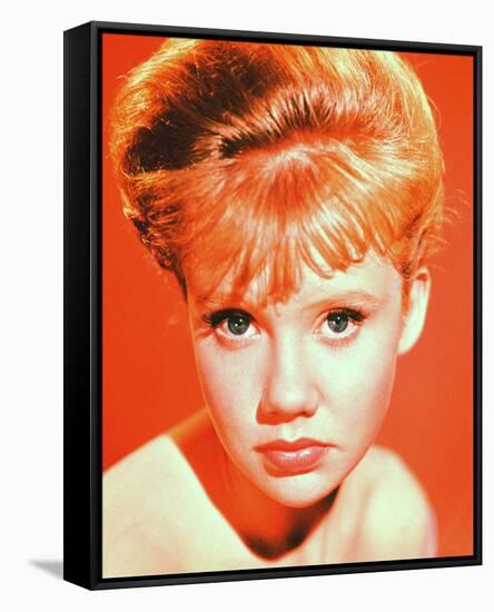 Hayley Mills-null-Framed Stretched Canvas