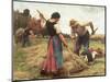 Haymaking, 1880-Julien Dupré-Mounted Giclee Print