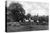 Haymaking, 1911-1912-Sprague & Co-Stretched Canvas