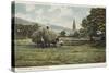 Haymaking at Ambleside, Lake District-null-Stretched Canvas