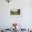 Haymaking at Ambleside, Lake District-null-Framed Photographic Print displayed on a wall