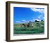 Haymaking near Trakai, Lithuania, Baltic States-null-Framed Art Print