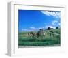 Haymaking near Trakai, Lithuania, Baltic States-null-Framed Art Print